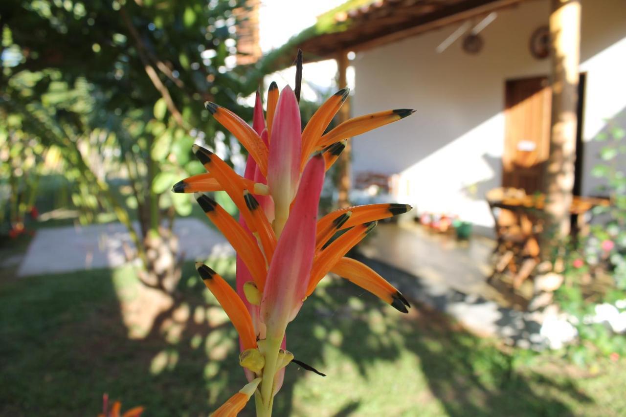 Family Guest House Velha Boipeba Экстерьер фото