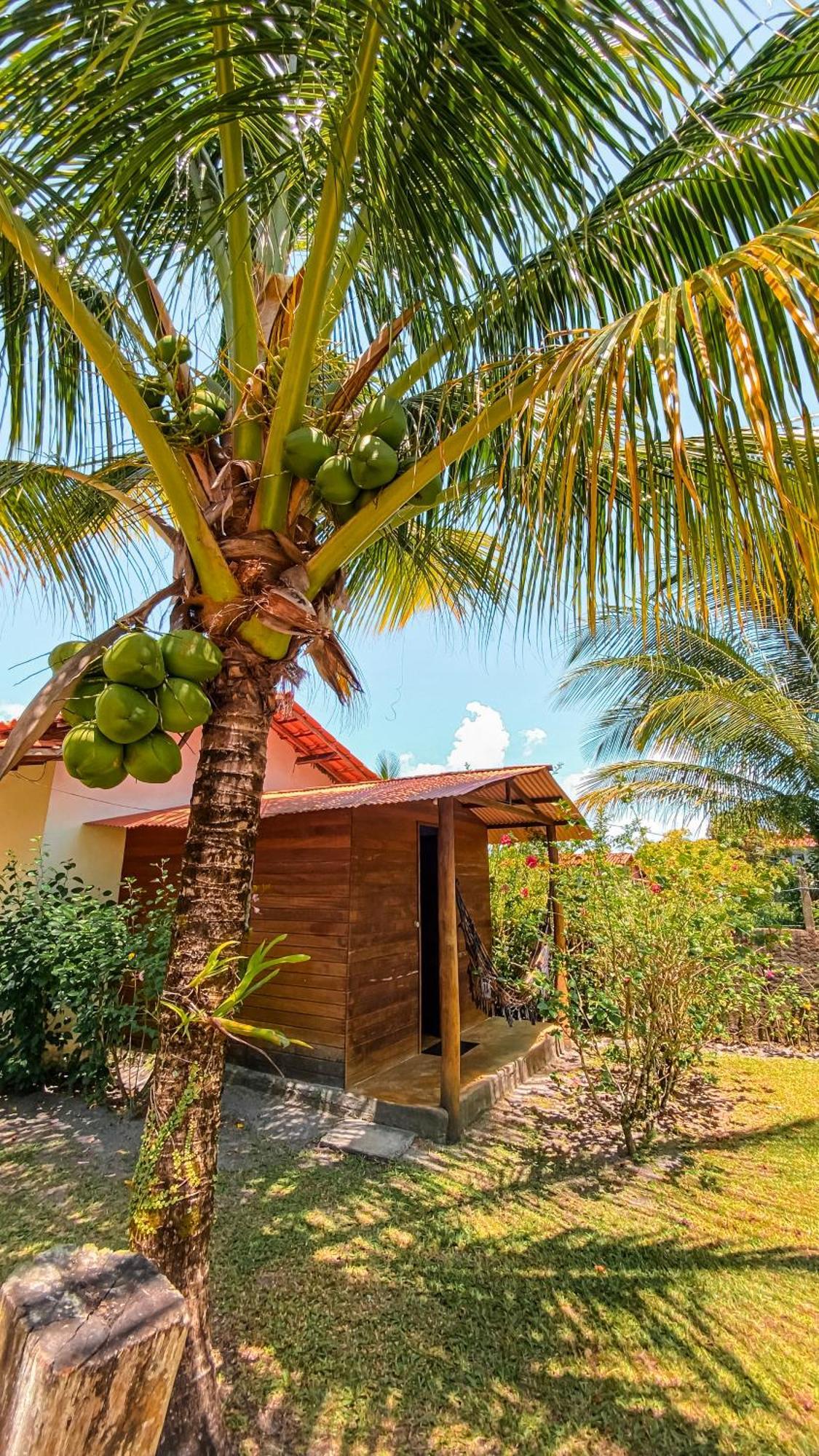 Family Guest House Velha Boipeba Экстерьер фото